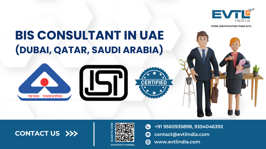Bis Consultant In Uae (dubai, Qatar, Saudi Arabia) - Evtl India