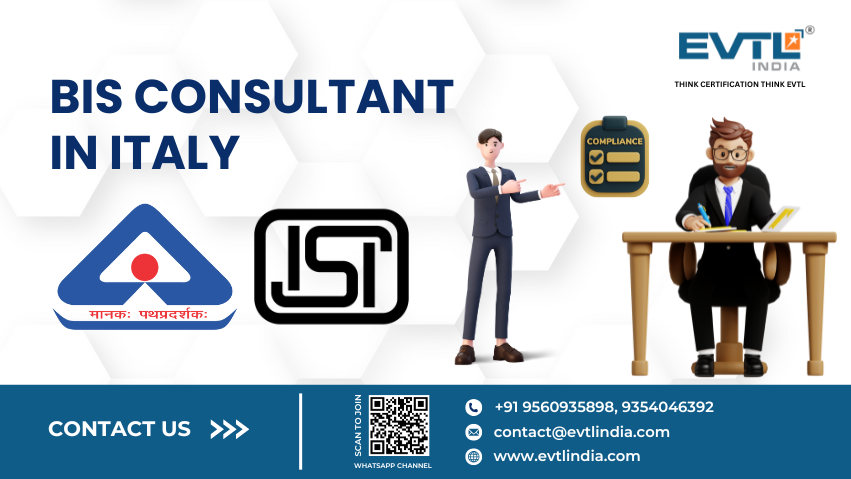 Bis Consultant In Italy - Evtl India