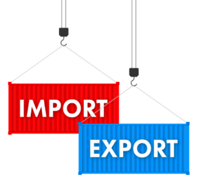Import Export License