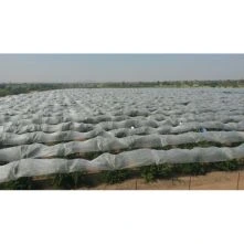 Agro Textiles(polypropylene Spun Bonded Non—woven Crop Cover And Fruit Skirting Bags For Agriculture And Horticulture Applications)