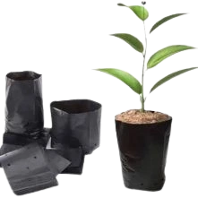 Agro Textiles(sapling Bags For Growth Of Seedling /sapling)