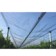 Agro Textiles(hail Protection Nets For Agriculture And Horticulture Purposes – Woven Hail Protection Nets)