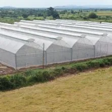 Agro Textiles(laminated Woven Orchard Protection Covers)