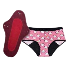 Reusable Sanitary Pad/ Sanitary Napkin/ Period Panties