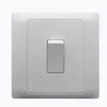 Switches For Domestic And Similar Purposes