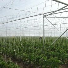 Insect Nets For Agriculture And Horticulture Purpose