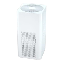 Safety Of Household, Commercial And Similar Electrical Appliances (air-cleaning Appliances)