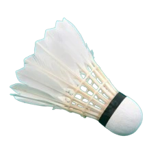 Shuttlecocks
