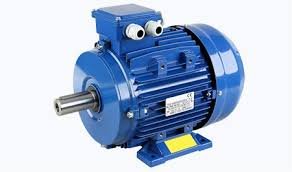 Energy Efficient Induction Motors-three Phase Squirrel Cage